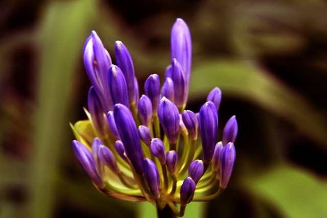 激烈的体育 激烈的体育