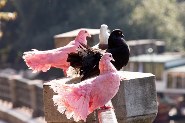 在这样的情 在这样的情