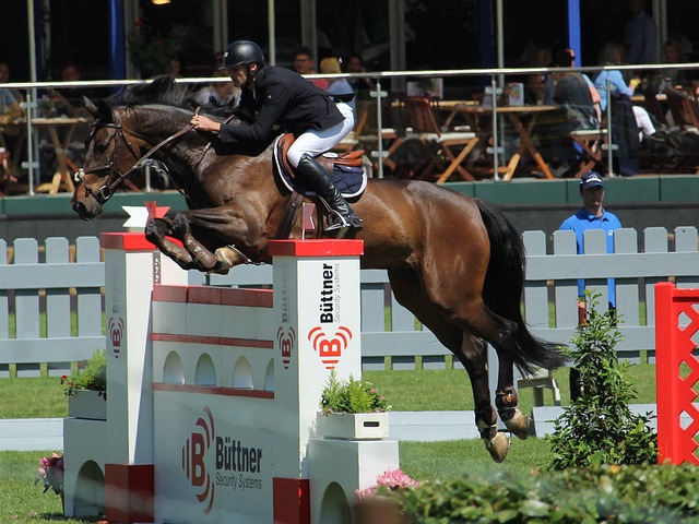 明确的战术 明确的战术