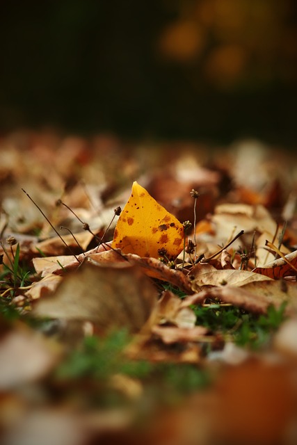 青训成就未 青训成就未