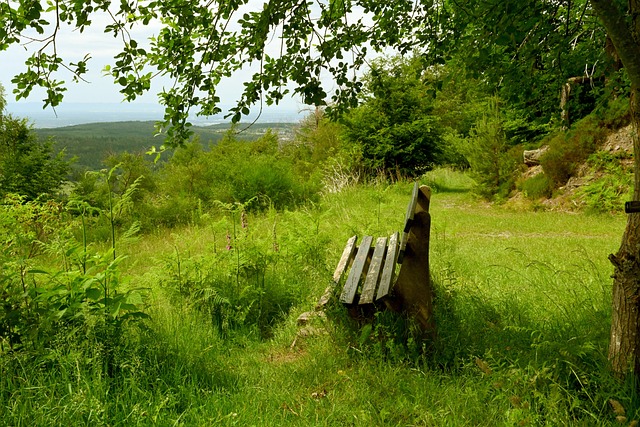 平的迅猛提 平的迅猛提
