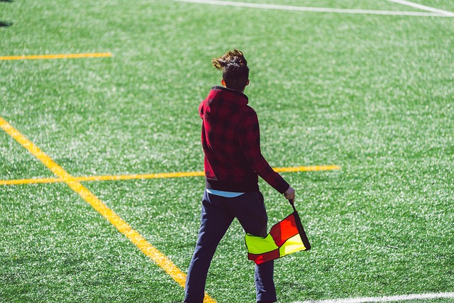 作何回应 作何回应