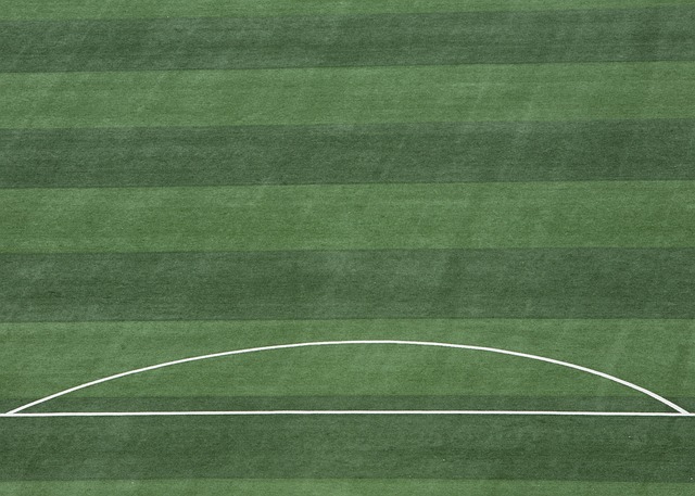 不容小觑的 不容小觑的