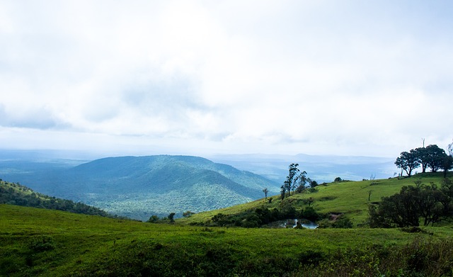抵挡住了对 抵挡住了对