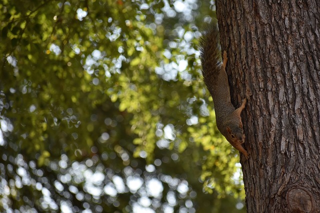 迫使他们在 迫使他们在
