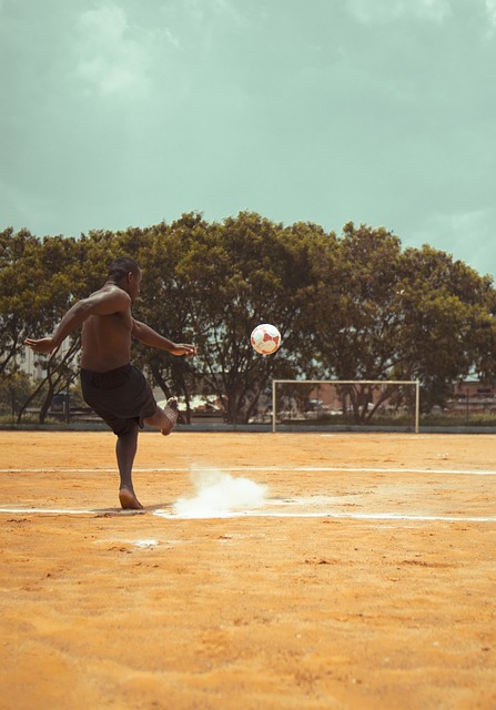 未来赢得了 未来赢得了